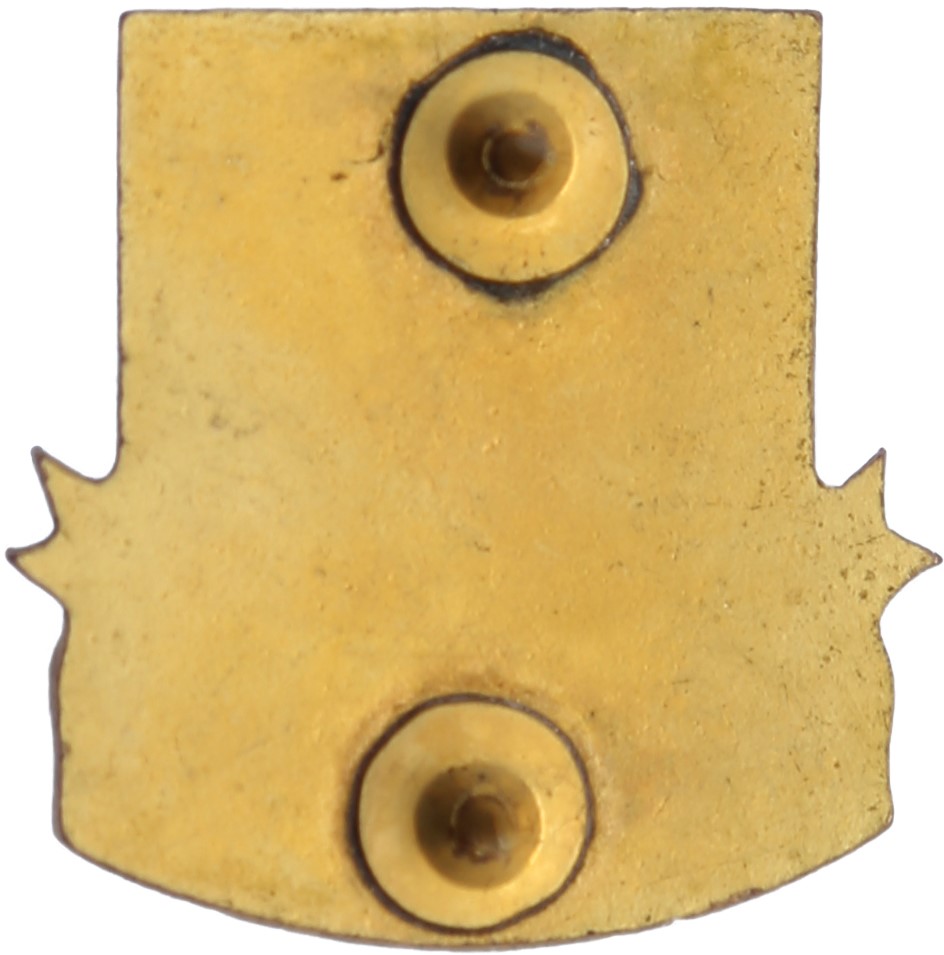 Type 1